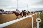 Dual Race Day 2018
