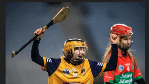 Camogie: All-Ireland intermediate glory for Clonduff