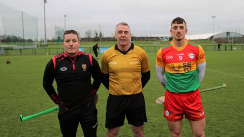 Hurling: Carlow defeat Down in Round 3 of the Kehoe Cup