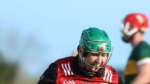 Down hurlers defeat Kerry in NHL Div 2A
