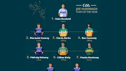 Joe McDonagh Team of the Year 2024