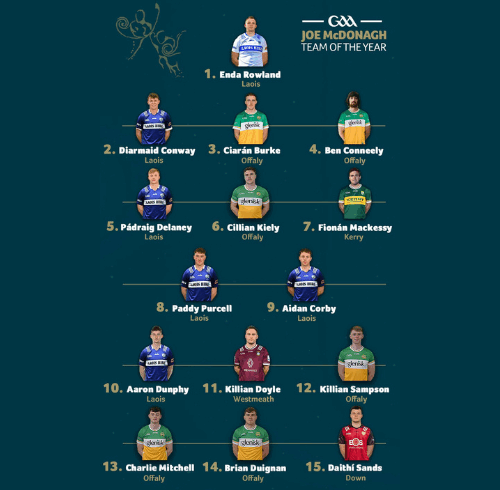 Joe McDonagh Team of the Year 2024