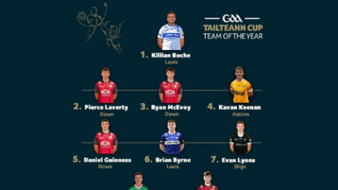 Tailteann Cup Team of The Year 2024
